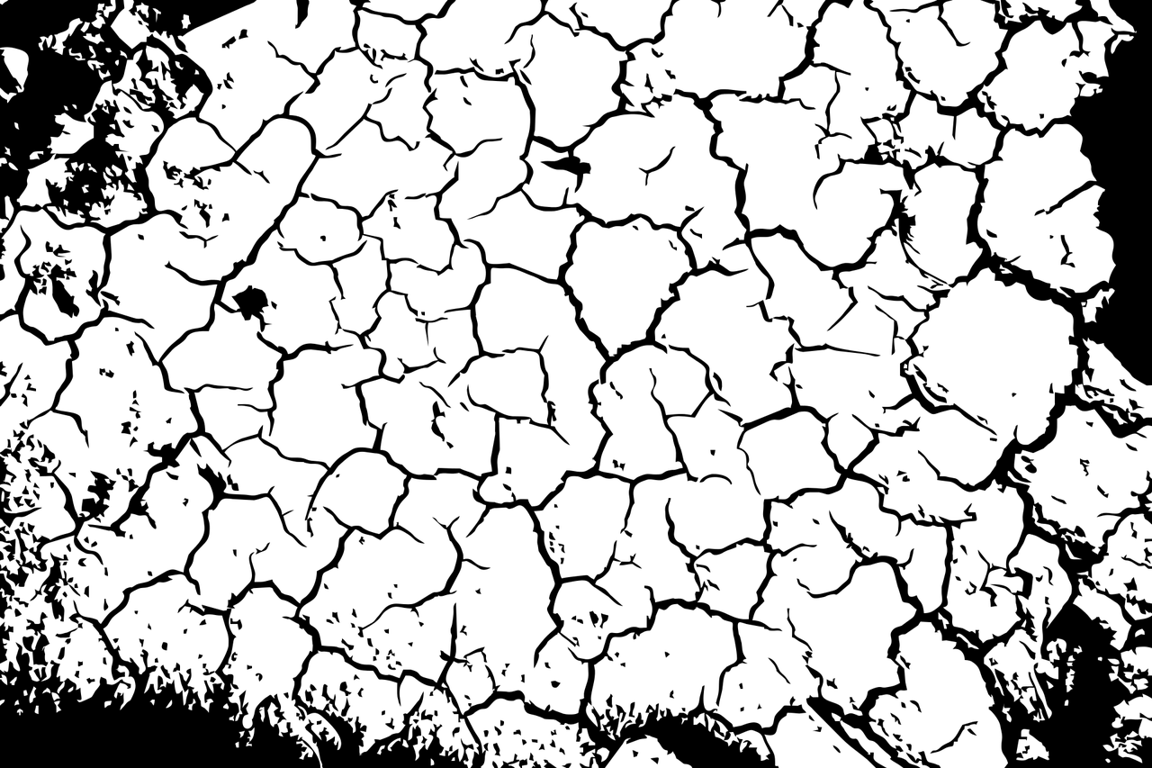 白小姐一码一肖中特1肖_详细解答解释落实_网页版v162.406