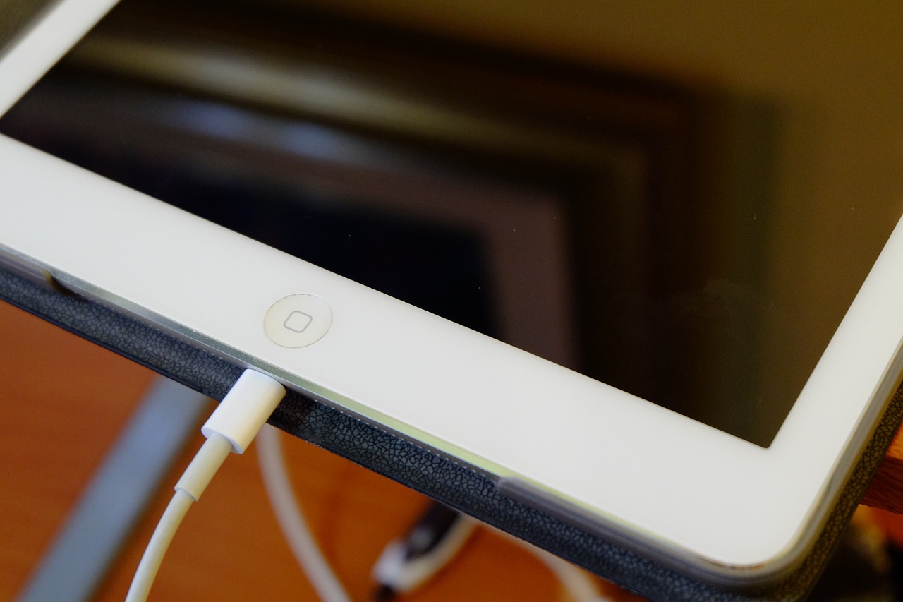 100%最准的一肖_详细解答解释落实_iPad89.75.42
