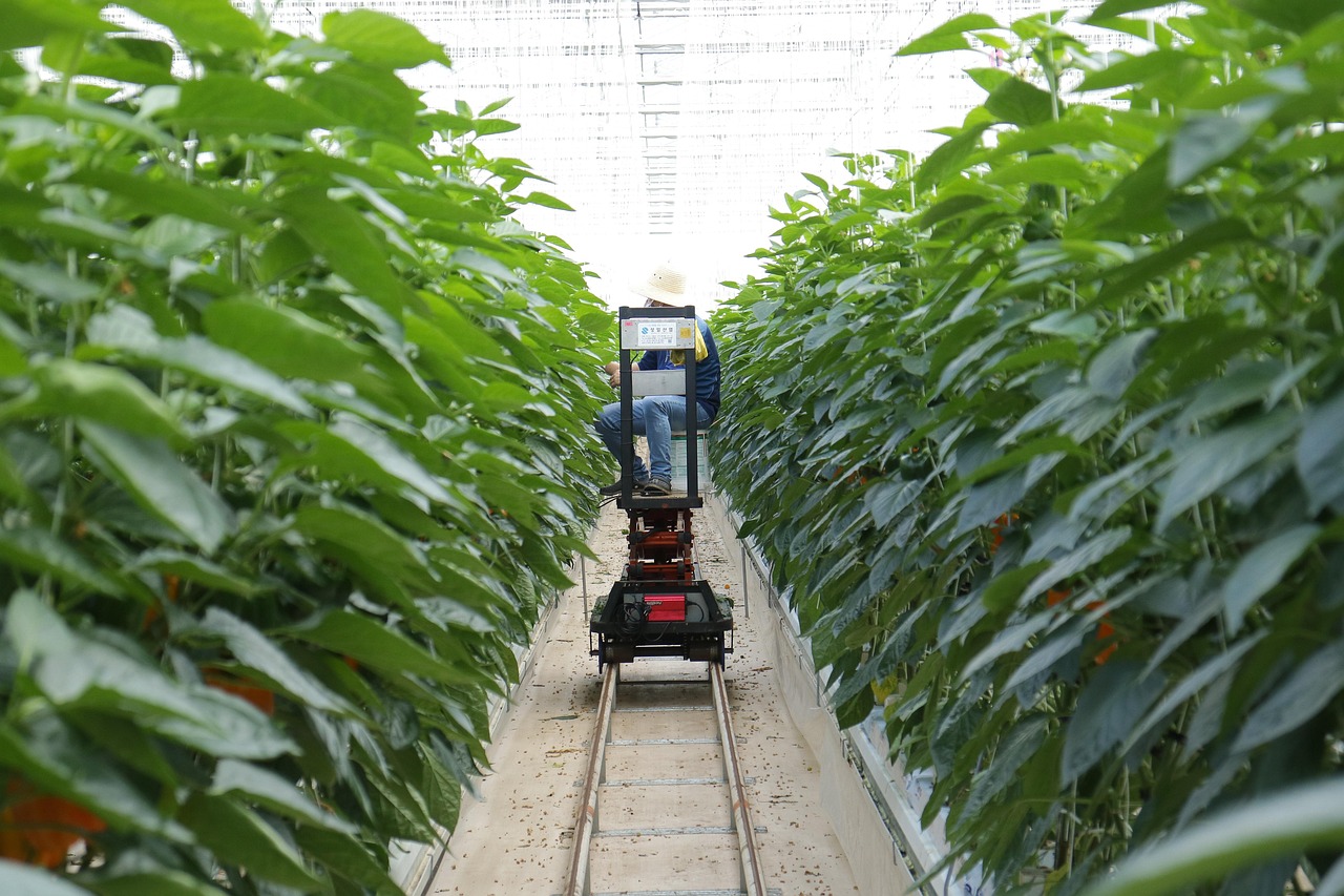 隔热工程 第7页